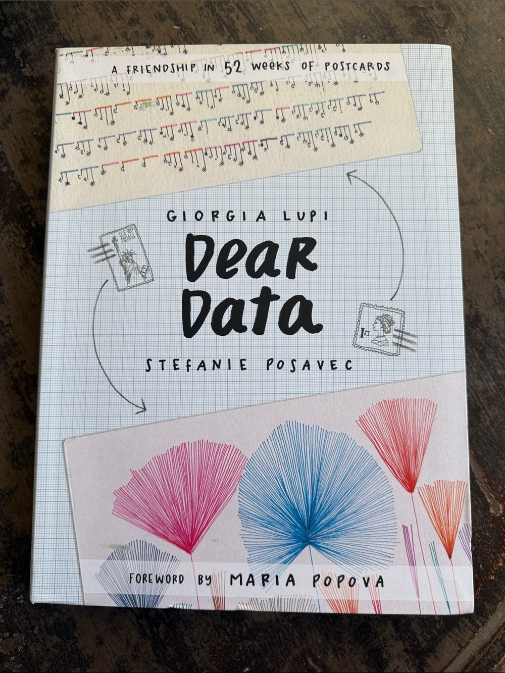 Dear Data Giorgia Lupi Stefanie Posavec Maria Popova Flexibound Book